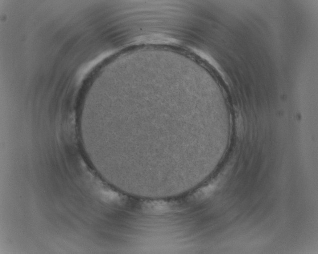 X0000077350971200611101610