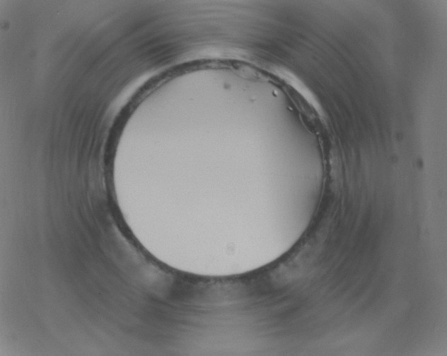 X0000077350972200611101610