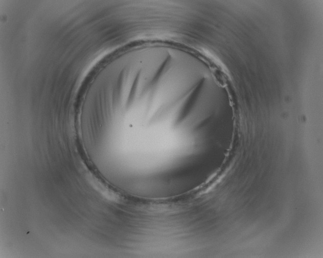 X0000077350976200611101610