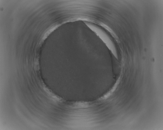 X0000077350977200611101610