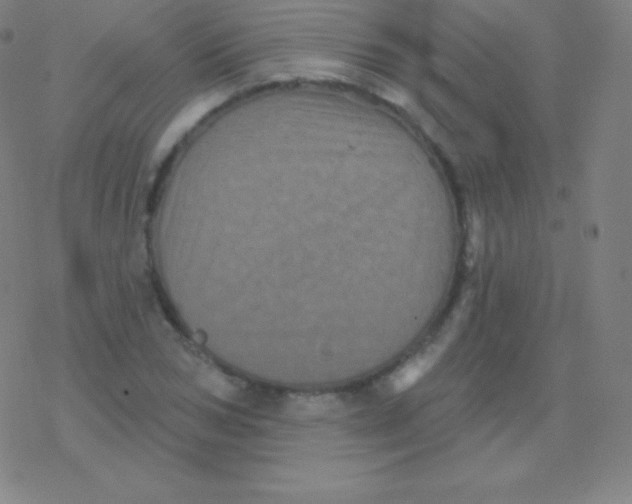 X0000077350978200611101609