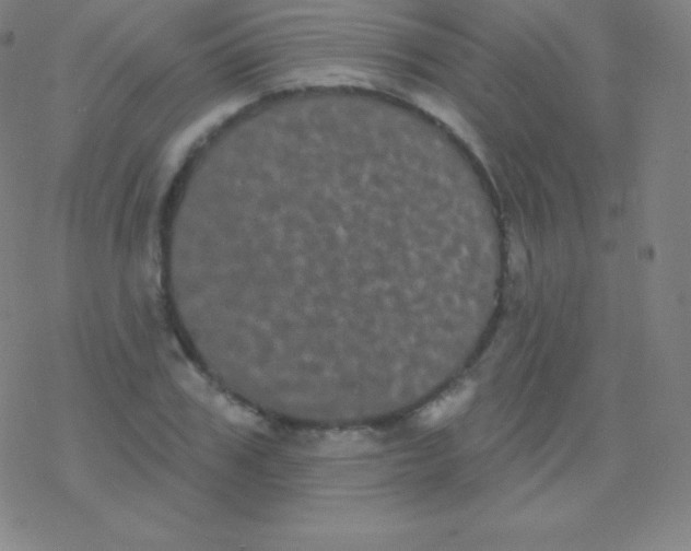 X0000077350979200611101609