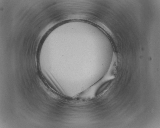 X0000077350980200611101609