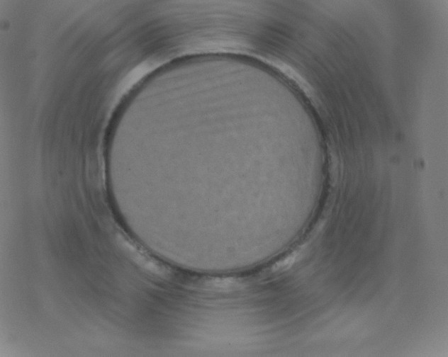 X0000077350982200611101609