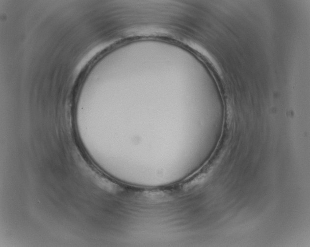 X0000077350983200611101609