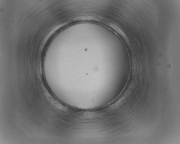 X0000077350984200611101609