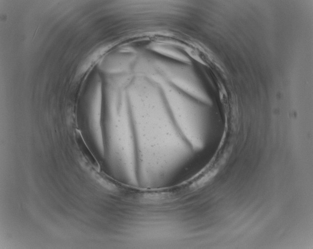 X0000077350985200611101609