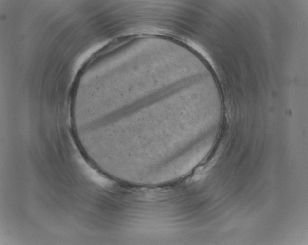 X0000077350987200611101609