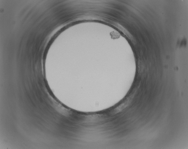 X0000077350988200611101609