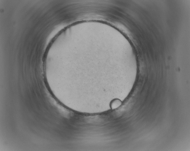 X0000077350990200611101609