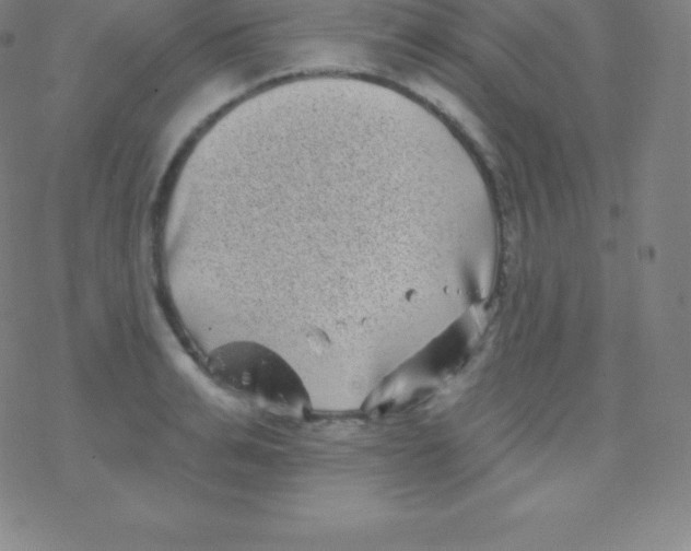 X0000077350991200611101609