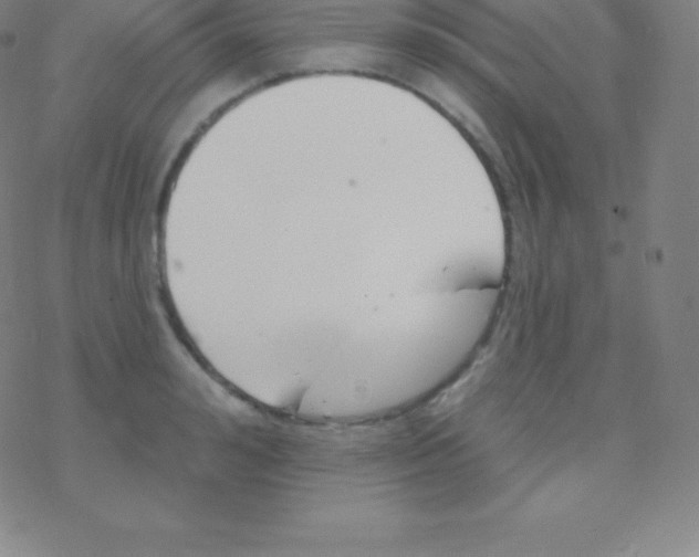 X0000077350992200611101609