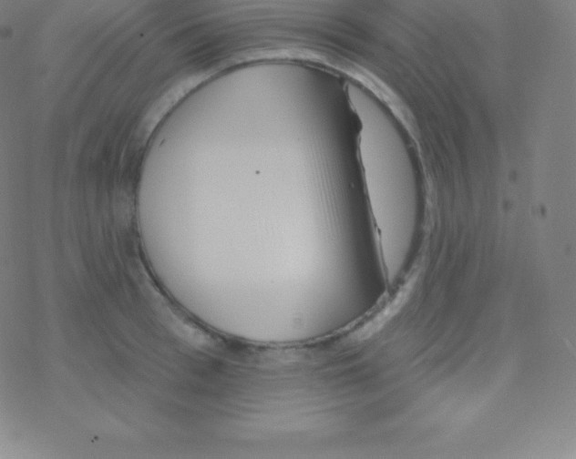 X0000077350993200611101609