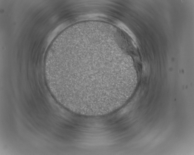 X0000077350994200611101609