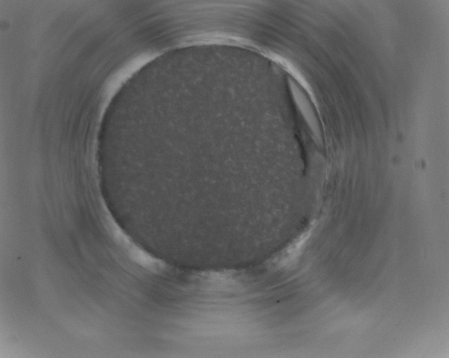 X0000077350995200611101609