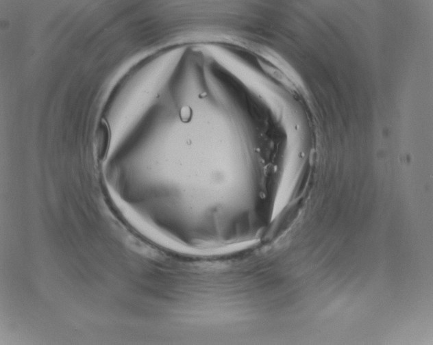 X0000077350996200611101609