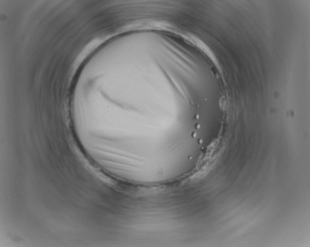 X0000077350997200611101609