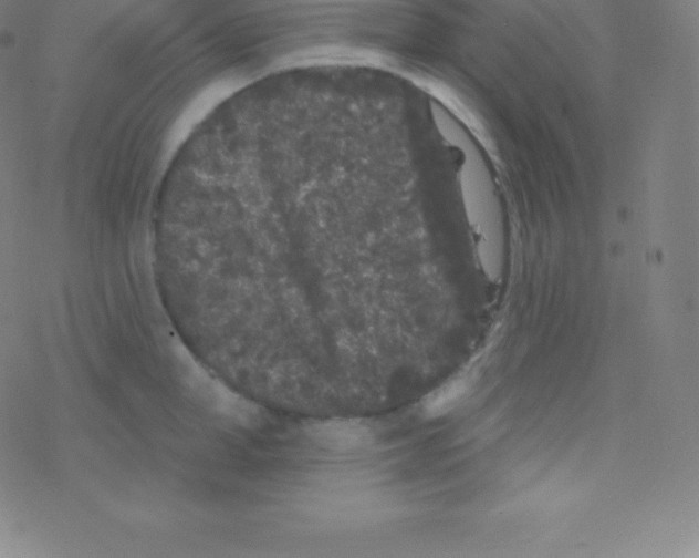 X0000077350998200611101609