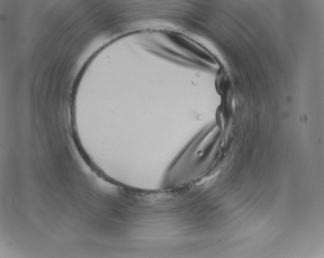 X0000077350999200611101609