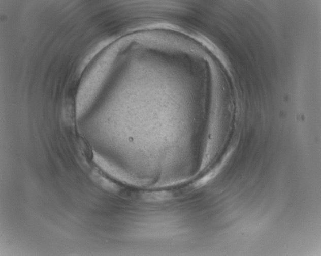 X0000077351001200611101609