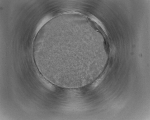 X0000077351002200611101609