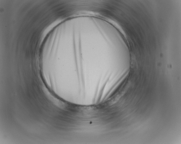 X0000077351003200611101609