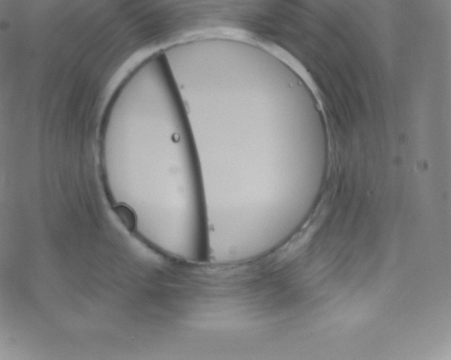 X0000077351005200611101609