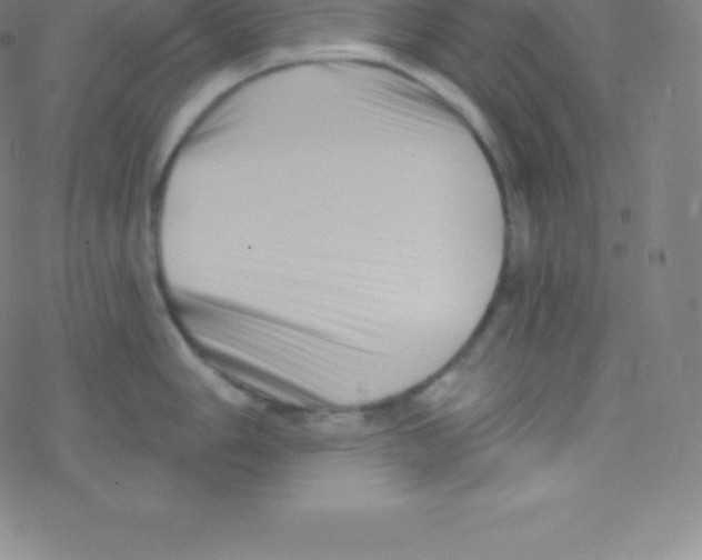 X0000077351006200611101609