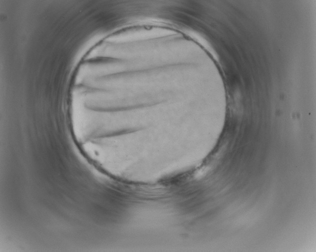 X0000077351007200611101609