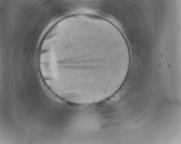 X0000077351008200611101609