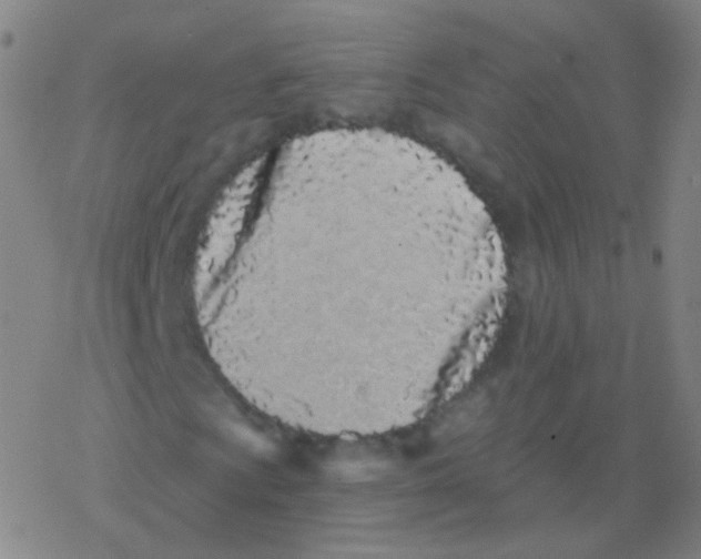 X0000077351009200611101608