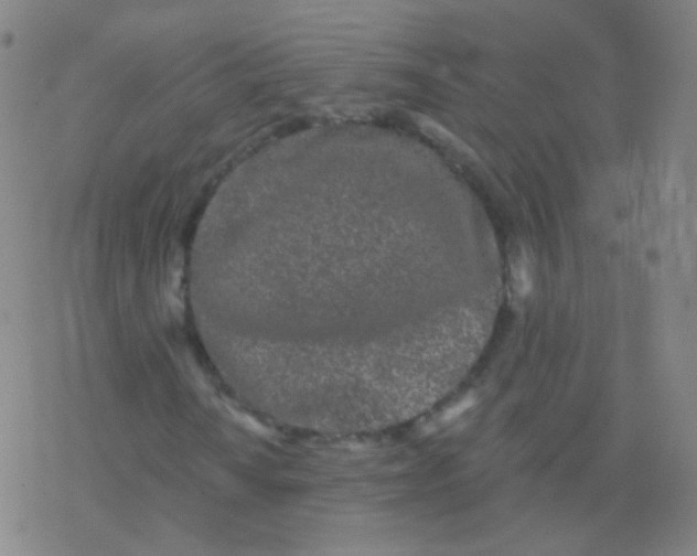 X0000077351010200611101608