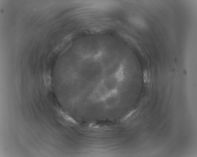 X0000077351011200611101608