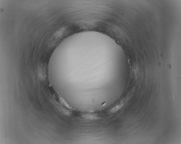 X0000077351012200611101608