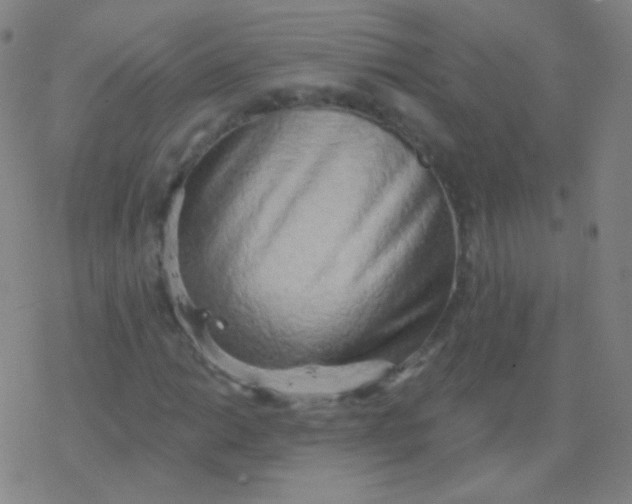 X0000077351014200611101608