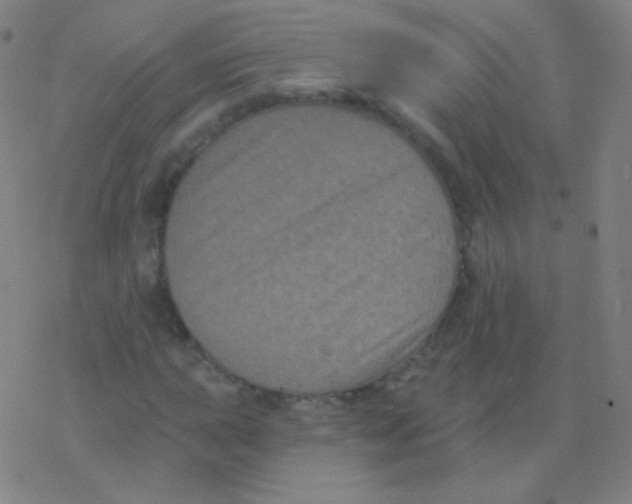 X0000077351015200611101608