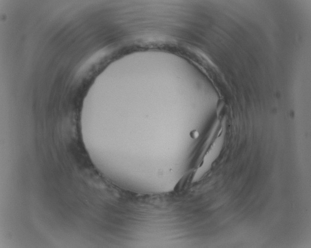 X0000077351016200611101608