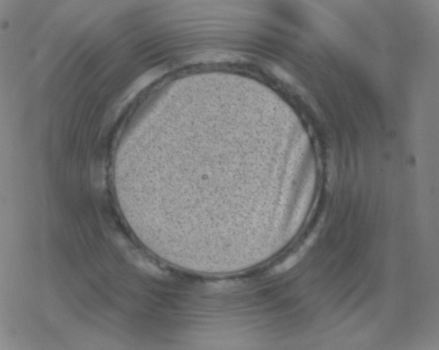 X0000077351017200611101608