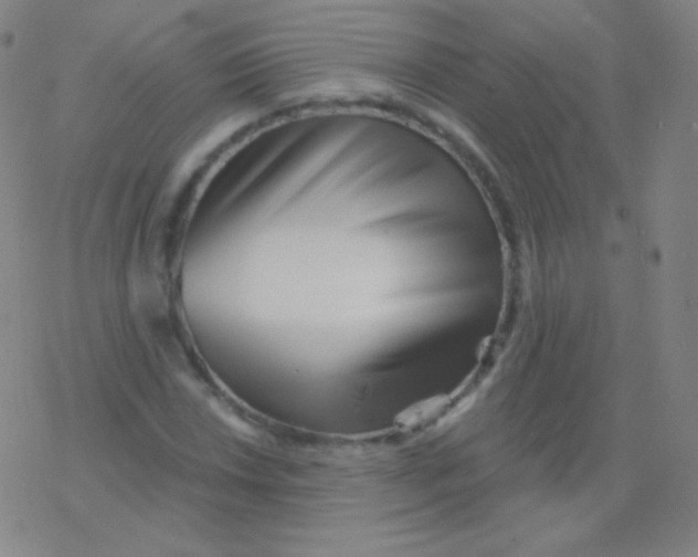 X0000077351018200611101608