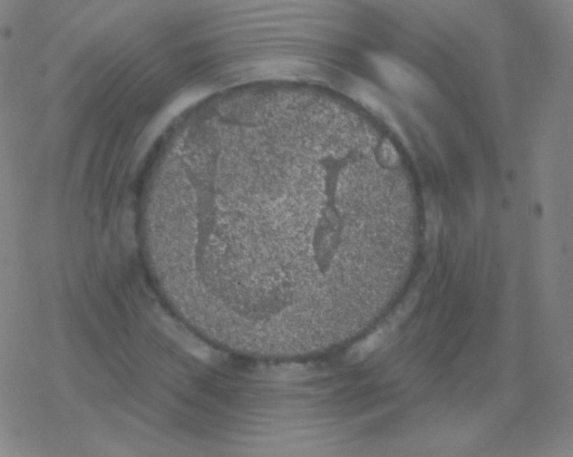 X0000077351019200611101608