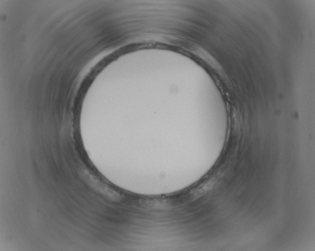 X0000077351020200611101608