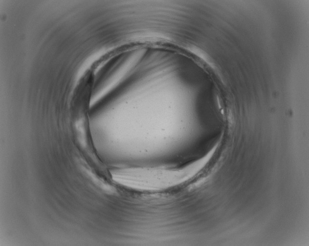 X0000077351022200611101608