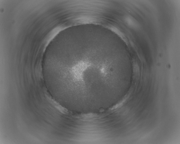 X0000077351023200611101608