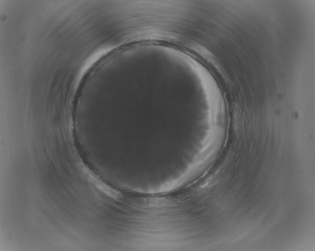 X0000077351024200611101608