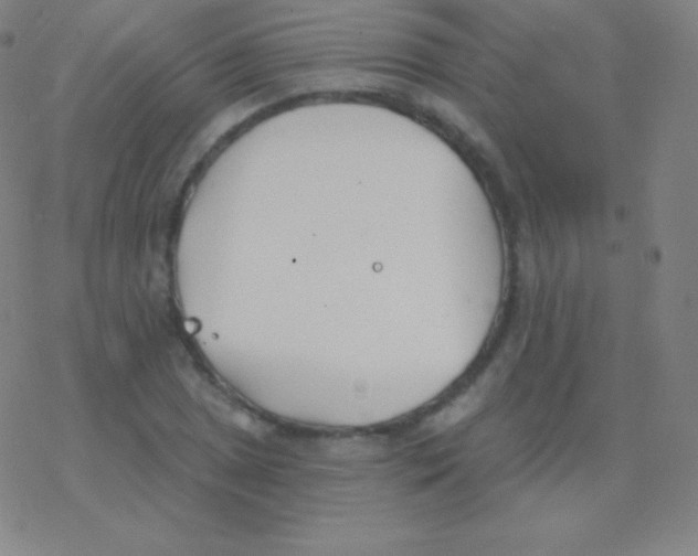 X0000077351025200611101608