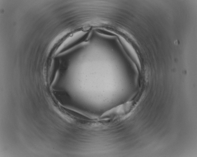 X0000077351026200611101608