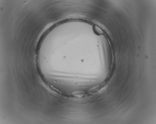 X0000077351029200611101609