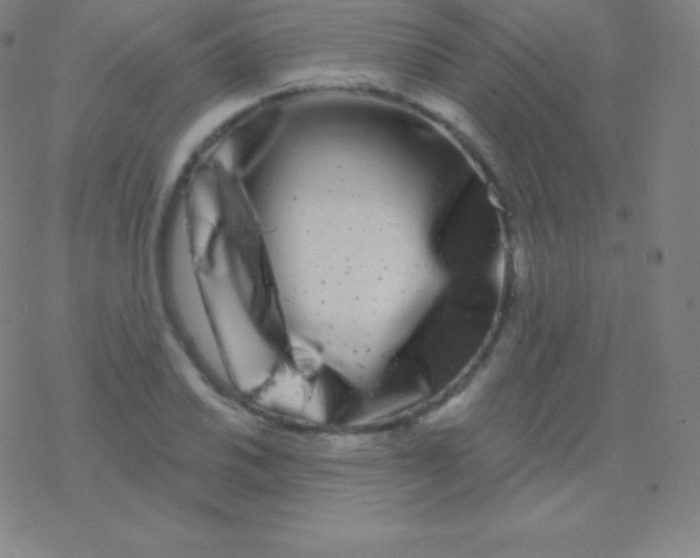 X0000077351030200611101609