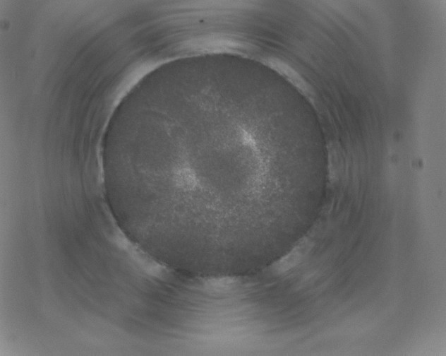 X0000077351031200611101609