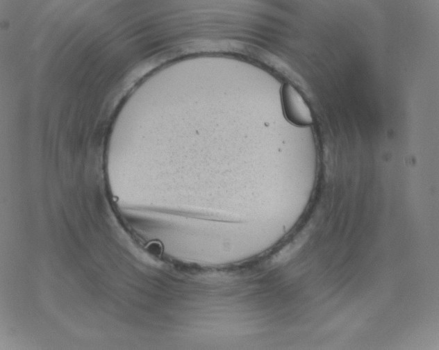 X0000077351033200611101609